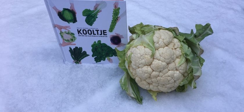 kooltje